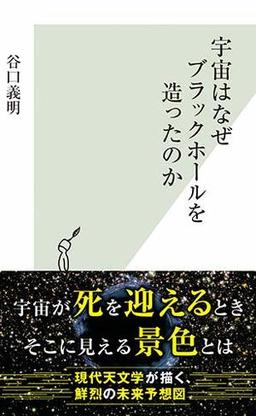 宇宙はなぜブラックホールを造ったのかの表紙